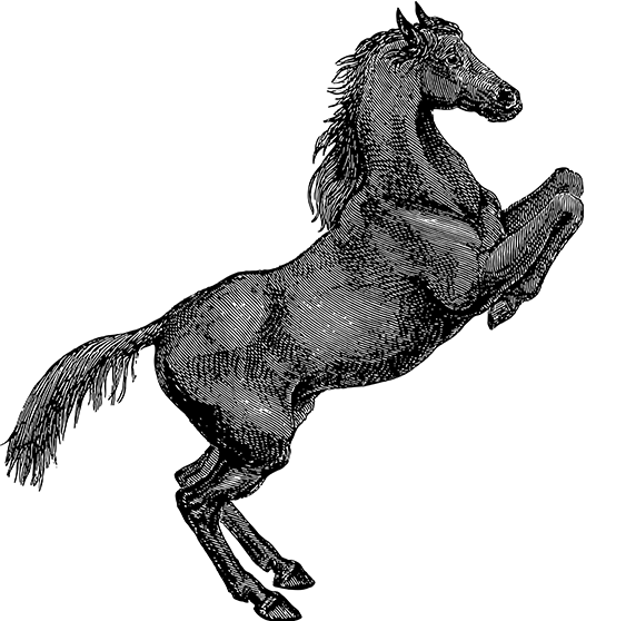优直播